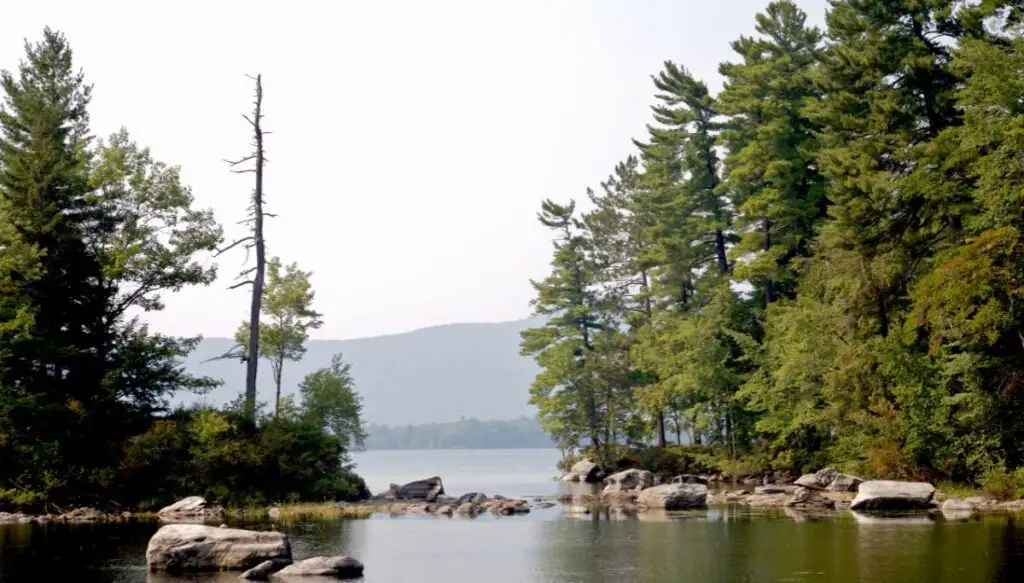 View of tall pine trees and a series of stones along the shore with a view of the lake in the background. 