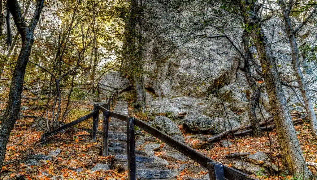 View of a stairway made of rocks with a wooden banistr on the left. You can see dead leaves all arround the stairs and a large rock wall on the right. You can also see trees with leave shading the walkway. 