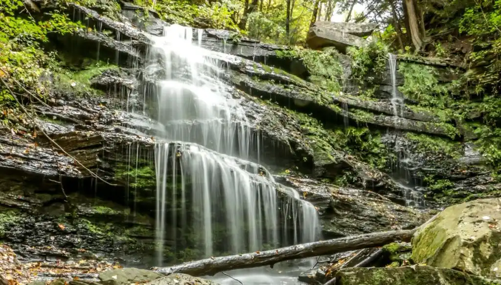 View of a small waterfall going down a series of rocks that are filled with moss and that have fallen branches all around them. 