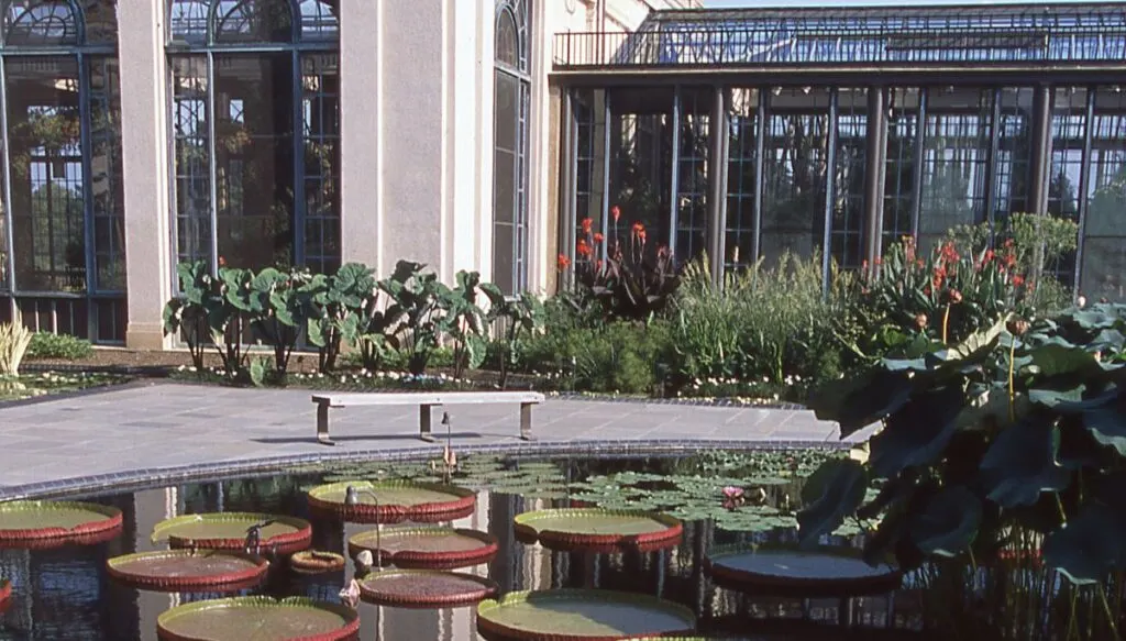 View of a lilypond with benches and a walking path around it with a greenhouse in the background and flowers on the ground in Winterthur. 