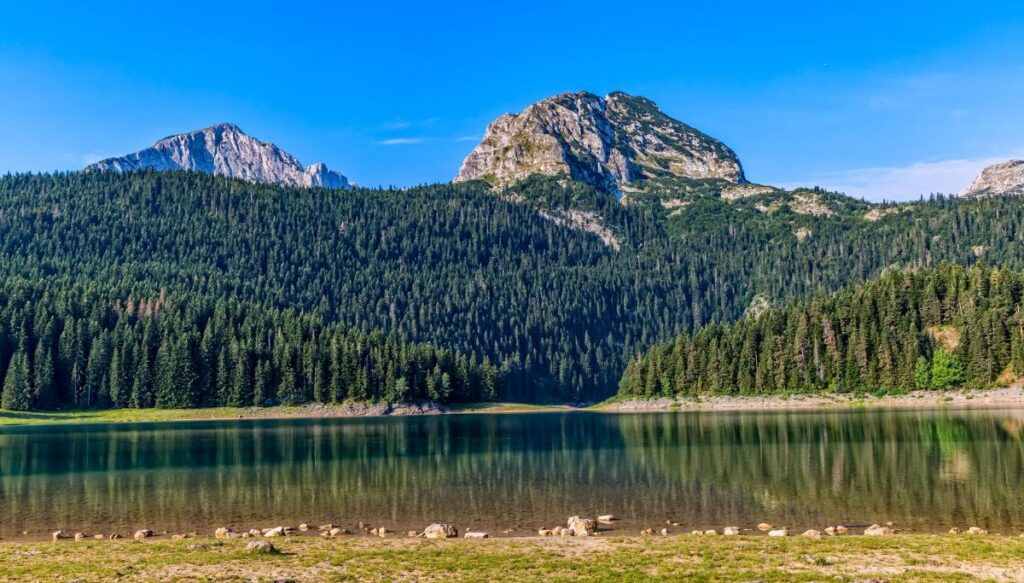 View of Black Lake in the foreground with tall pine trees and granite mountains in the background. 