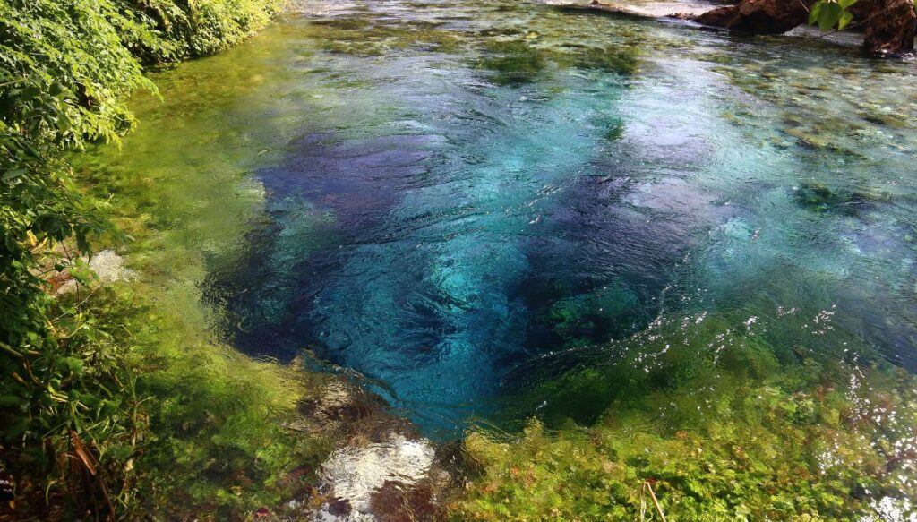 View of the bright blue water surrounded by moss at the Blue Eye in Albania.
