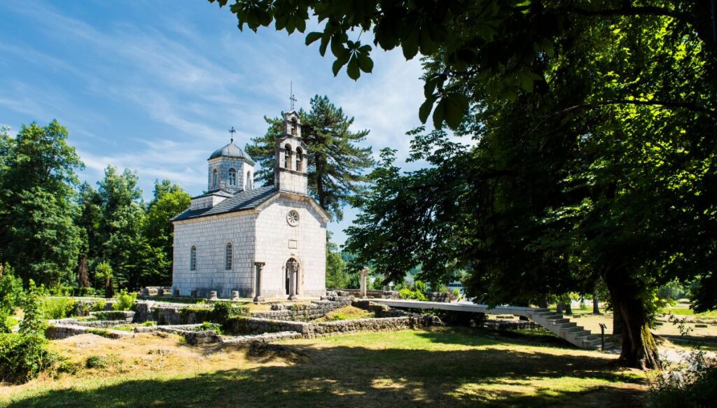 View of a small white church surrounded by pine trees and stone ruins on the ground in Cetinje. 