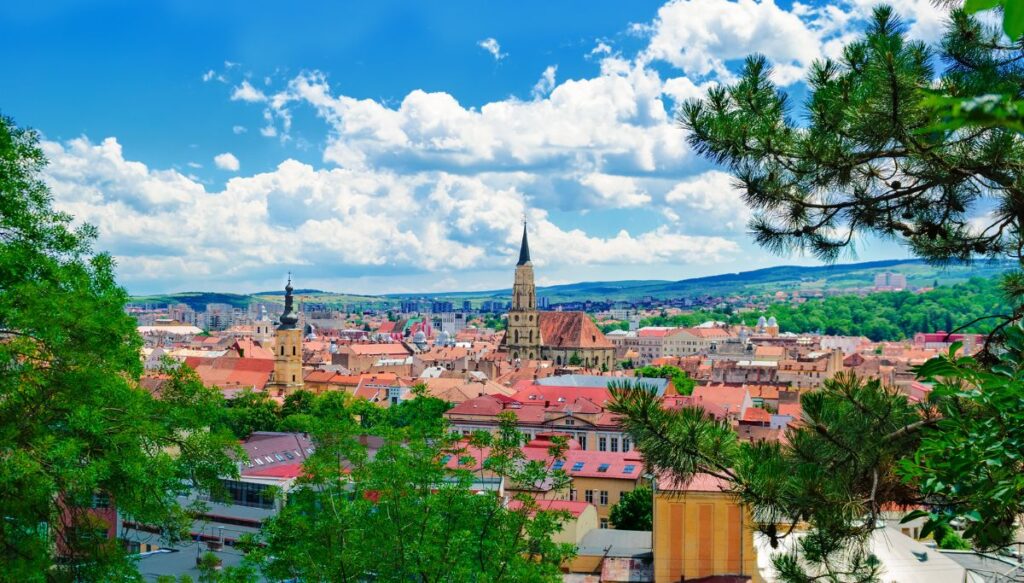 View of church steeples and buildings with red roofs in Cluj-Napoca. You can also see the branches of pine trees in the foreground on a sunny day.