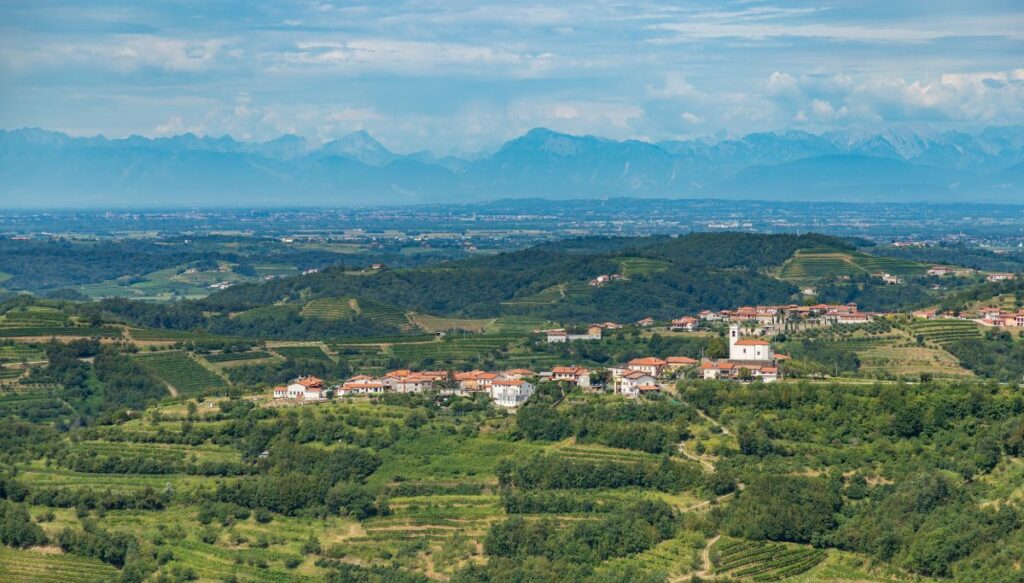 View of a white village with buildings with red roofs that are surrounded by lush greenery in Goriška Brda.