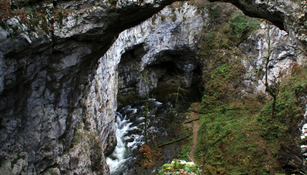 Aerial view of a river running through a gorge with trees on the right and white stones on the left in Rakov Škocjan.