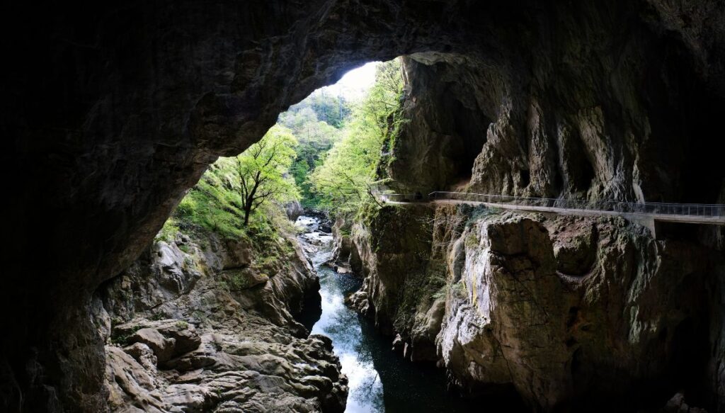 View of the opening of the Škocjan Caves. You can see a walkway through the caves on the right and a river running through the bottom of the cave with trees outside the cave.