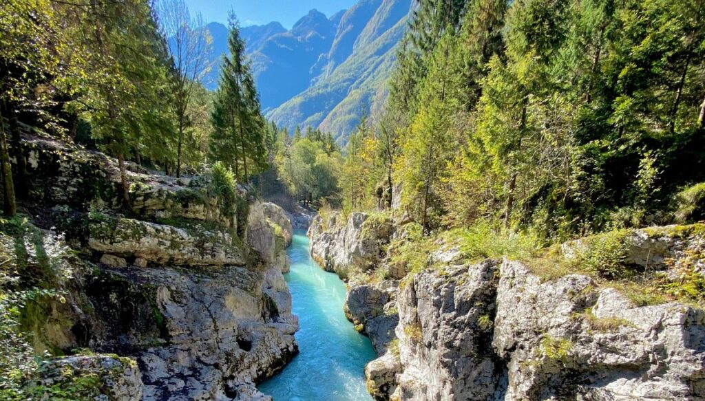 View of a bright blue river running through a valley, The river is surrounded by sheer rock walls and pine trees, with mountains in the background.