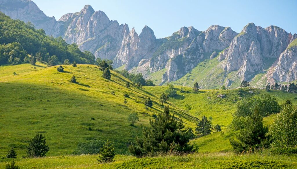 View of rocky outcrops of sheer rock in the distance with sprawling green meadows in the foreground at Sutjeska National Park.