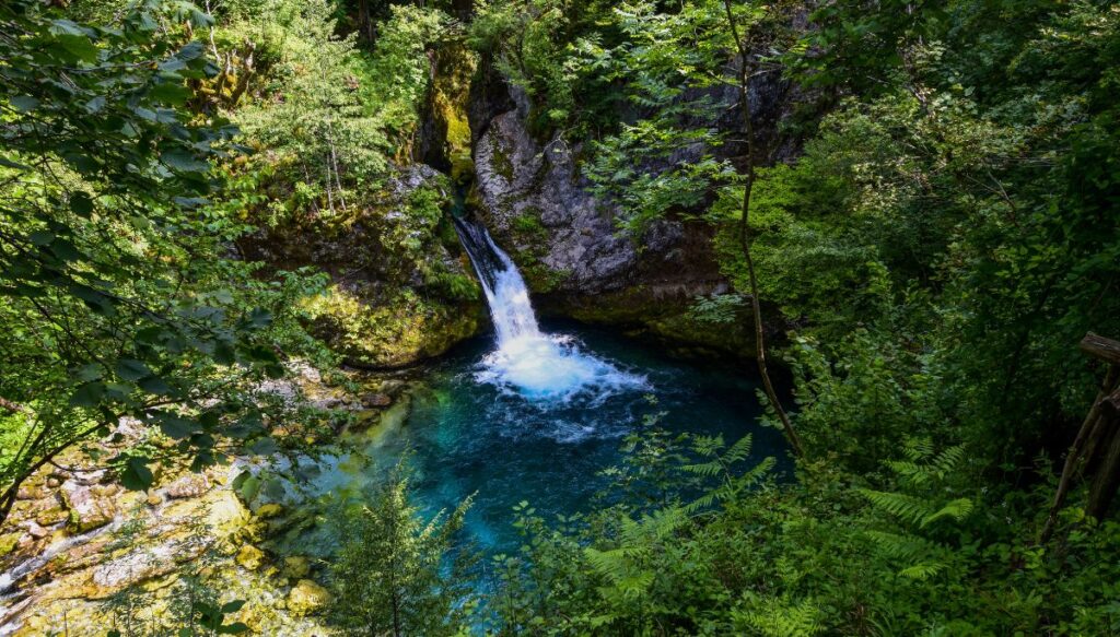 View of a small waterfall falling into a light blue pool surrounded by trees in Theth National Park.