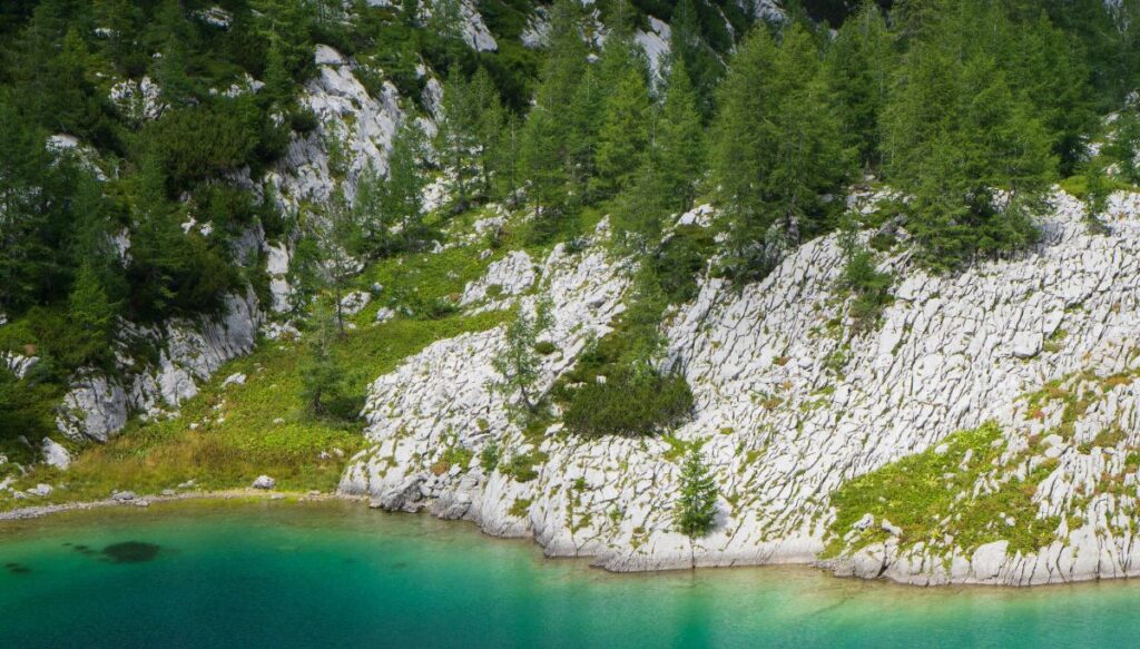 View of the bright blue water of Triglav National Park. The weater is surrounded by grass, pine trees, and white rocks.