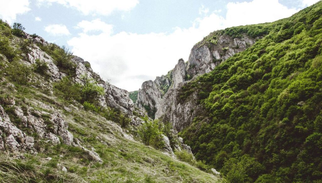View of rock formations covered in greenery from the bottom of Turda Gorge in Romania.