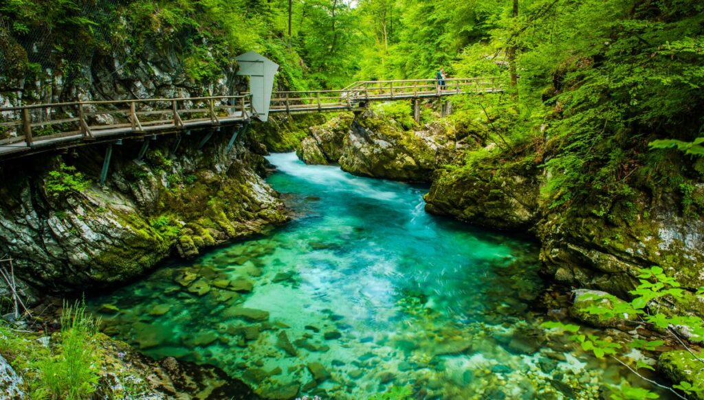 View of a wooden walkway and bridge going over the bright blue water of Vintgar Gorge that snakes through Vintgar Gorge.
