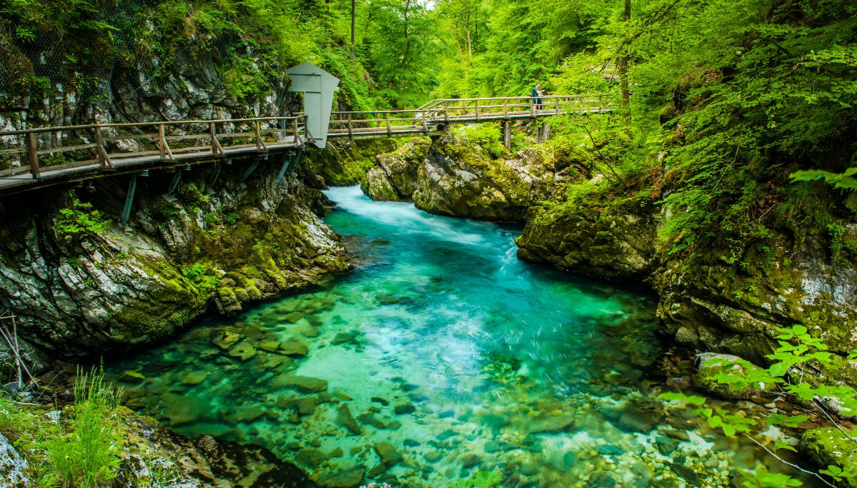 20 Most Beautiful Places in Slovenia You Need to See to Believe