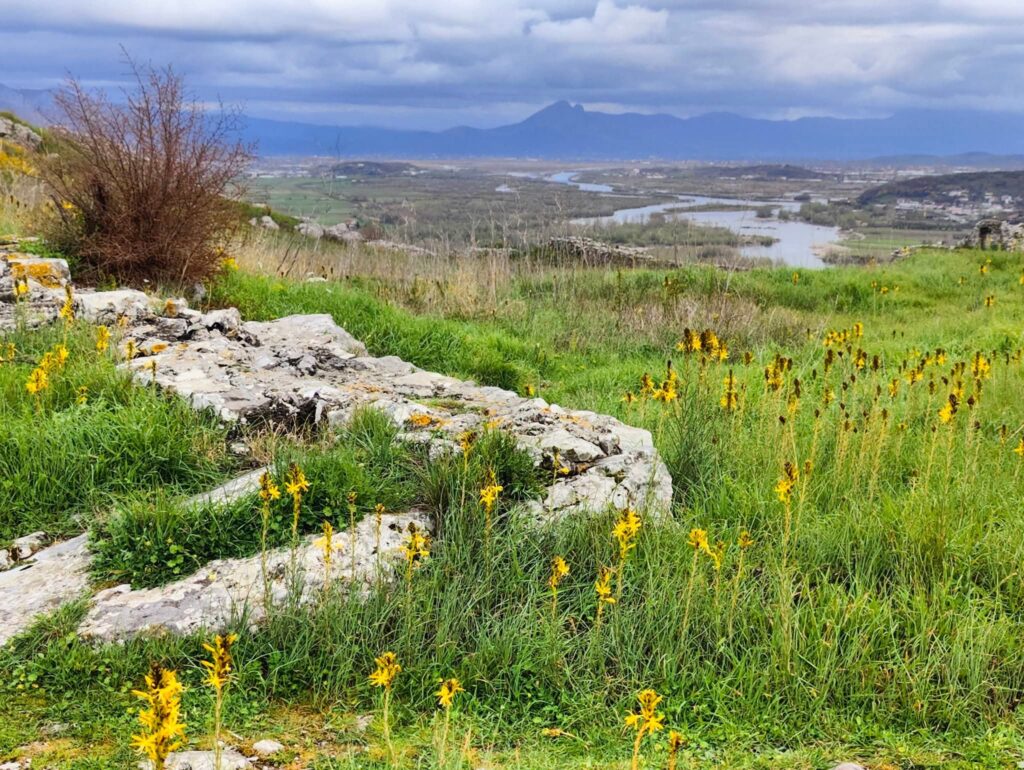View of wildflowers and lakes and mountains in the distance from the top of the castle in Shkodër.