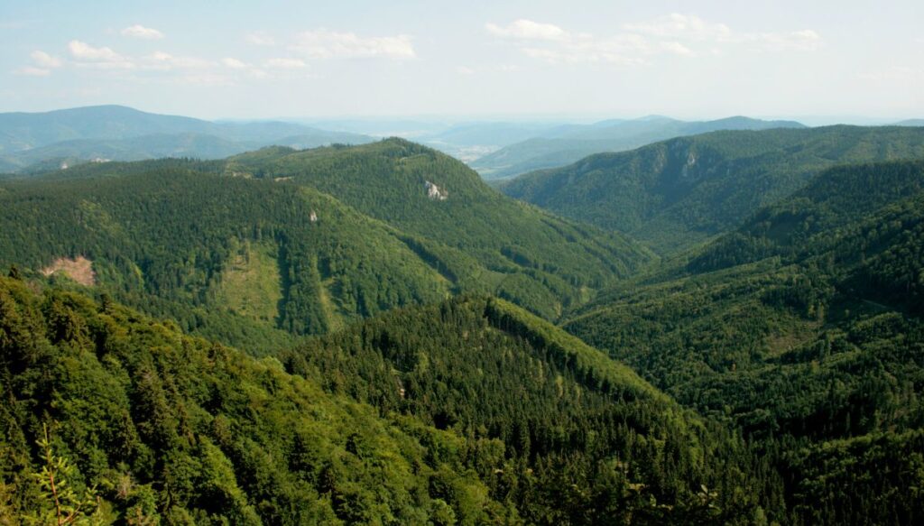 View of the vast green mountains of Muránska Planina National Park in Slovakia.